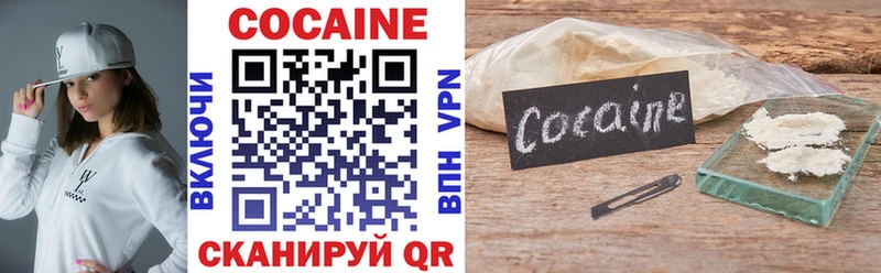 купить закладку  Вилючинск  КОКАИН FishScale 