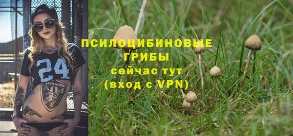 крисы Балабаново