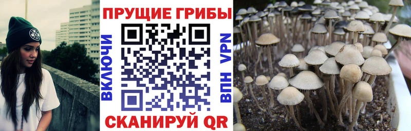 Псилоцибиновые грибы ЛСД  как найти закладки  Вилючинск 